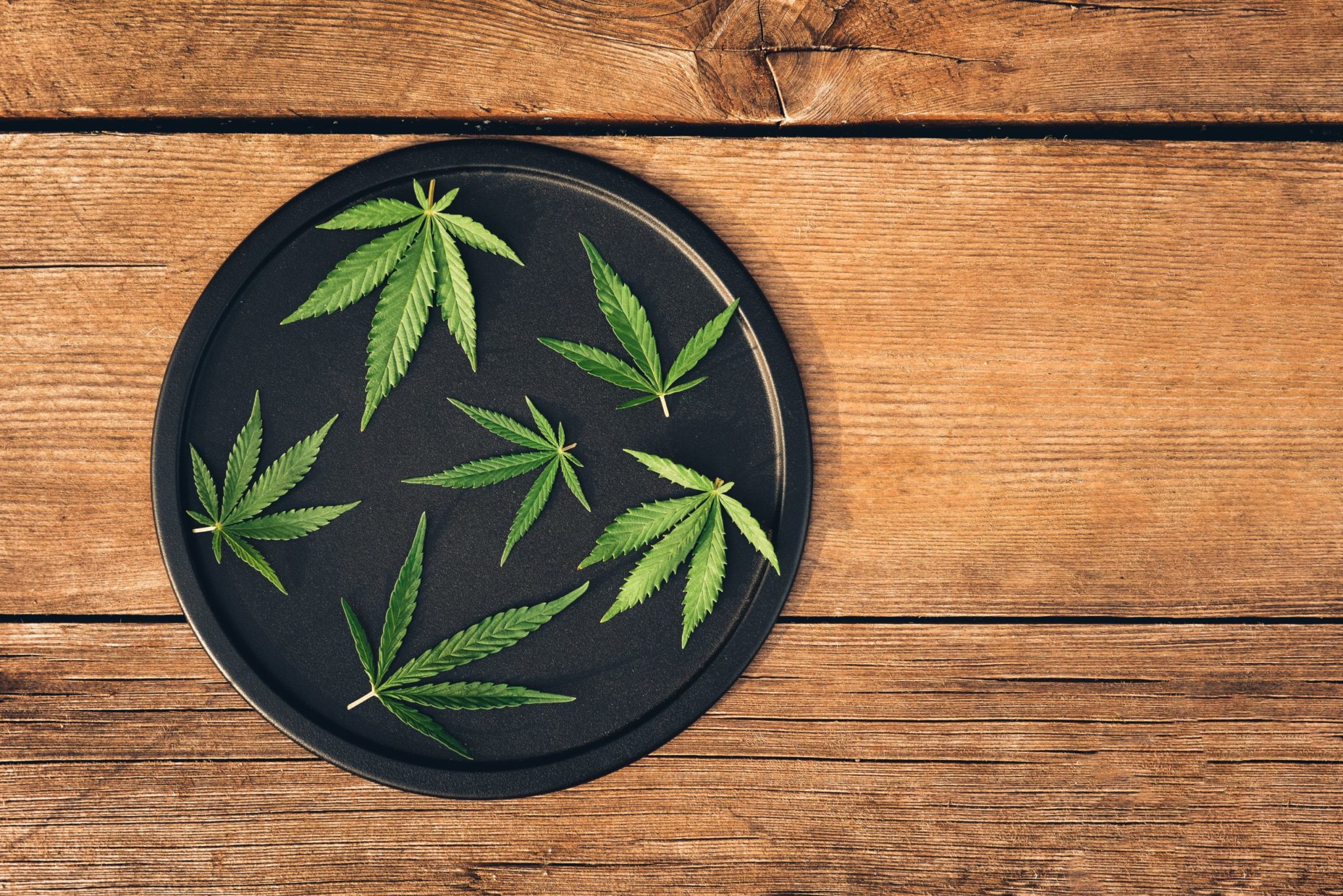 layout beautiful leaves marijuana cannabis different sizes round black dish scaled