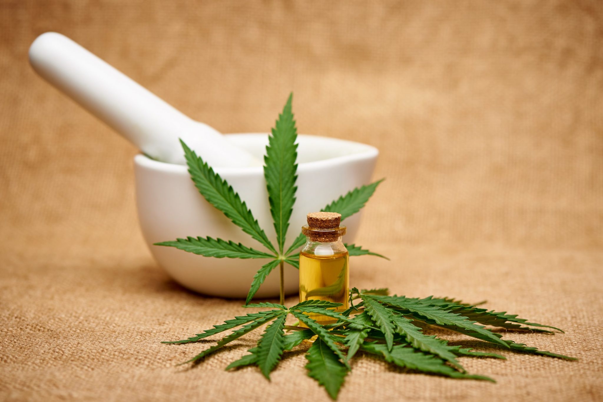 cannabis oil extract mortar burlap space scaled