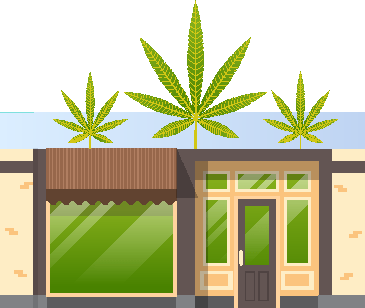 KINNABIS SEEDS WELCOME YOU