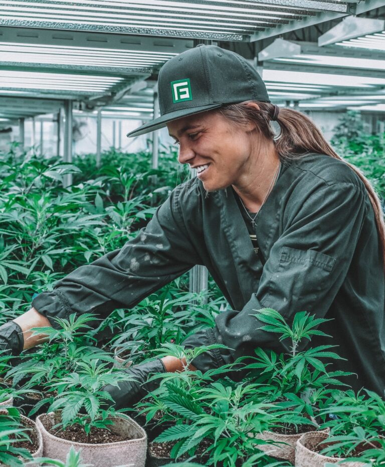 greenforce staffing 2sP6nn1xHgw unsplash 1 1 scaled