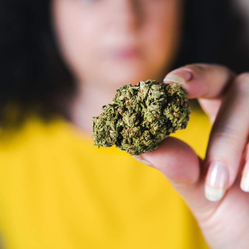 Cannabis Seeds 20 7g7tg