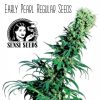 Early Pearl Cannabis Seeds Seni Seeds