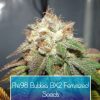 Pre98 Bubba BX2 Feminized Seeds