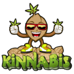 Kinnabis Logo, buy cannabis seeds online