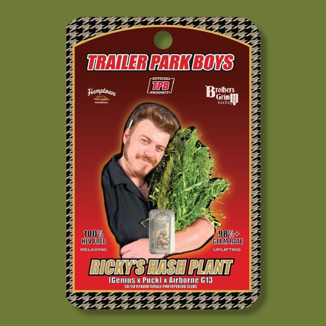 Ricky's Hash Plant Feminized Seeds (Trailer Park Boys Collab)