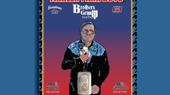 Bubble's Blueberry F4 Feminized Seeds