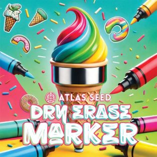 Dry Erase Marker Feminized Seeds