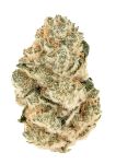 Gorilla Melon Feminized Seeds