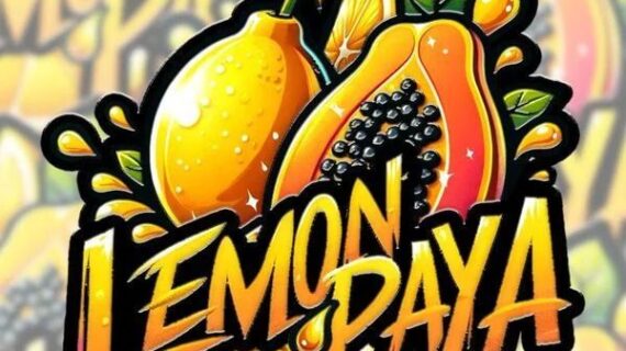 Lemonpaya Feminized Seeds