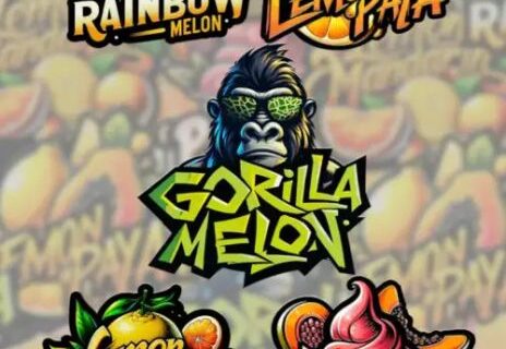 Mix Pack Feminized Seeds