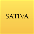 Sativa