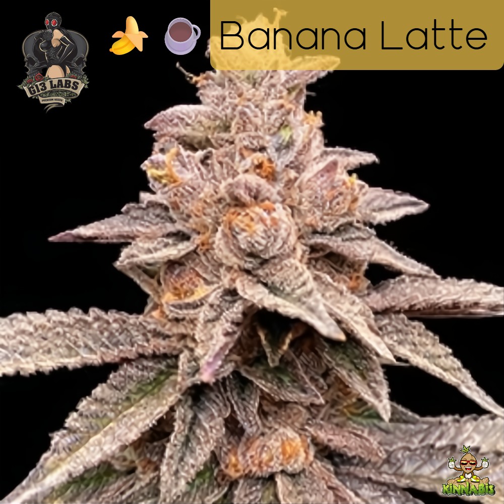 Banana Latte
