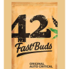 Original Critical Auto Feminized Seeds