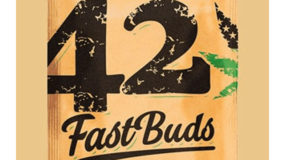 Original Critical Auto Feminized Seeds