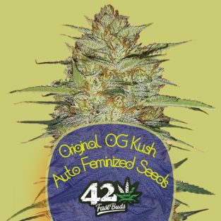 Original OG Kush Auto Feminized Seeds