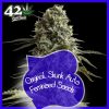 Original Skunk Aut Feminized Seeds Auto Feminized Seeds