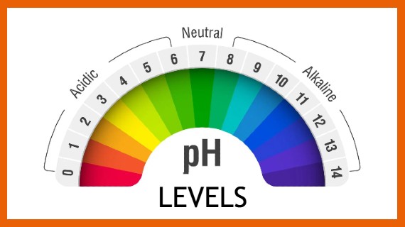 PH Levels