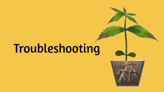 Cannabis Troubleshooting