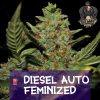 Diesel Auto