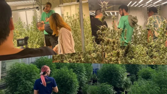 FastBuds Crew