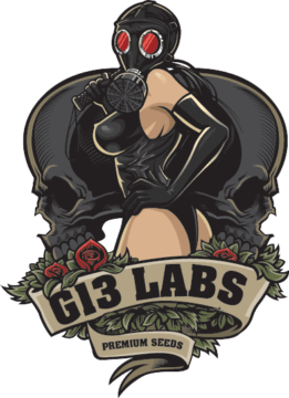 G13 Labs