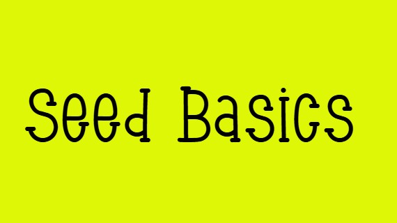 seed basics