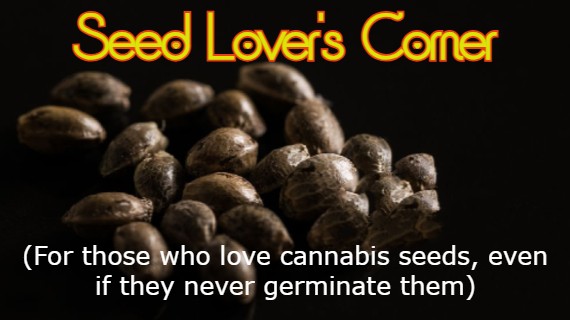 seed lovers corner