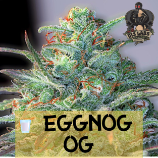 🥛 Eggnog OG