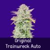 Original Trainwreck Auto Feminized Seeds
