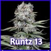 Runtz 13