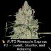 🍍 AUTO Pineapple Express #2 – Sweet, Skunky, and Powerfully Relaxing