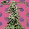 Strawberry Yum Yum Auto cannabis strain by Mosca Seeds – sweet strawberry, earthy hash autoflower”