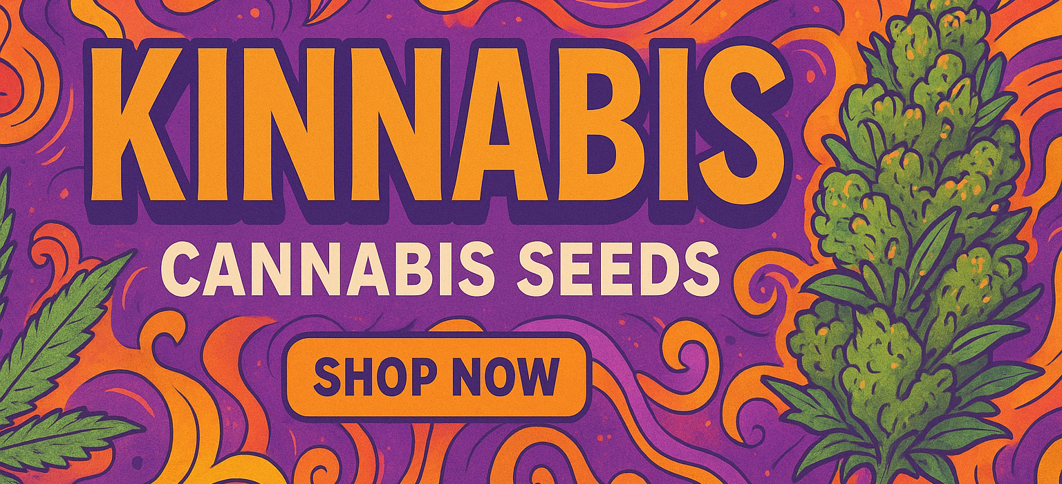 243C3738-D60E-4D43-AEE8-5B1324EBF783 243C3738-D60E-4D43-AEE8-5B1324EBF783