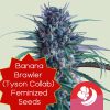 Banana Brawler (Tyson Collab) Feminized Seeds