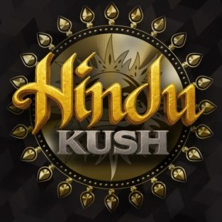 Hindu Kush Femnized Seeds