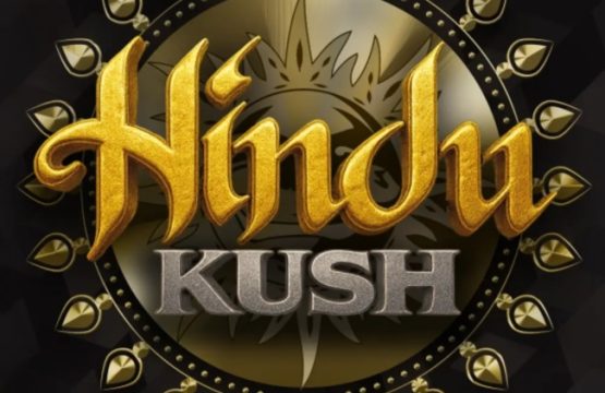 Hindu Kush Femnized Seeds