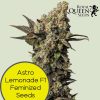 Astro Lemonade F1 Feminized Seeds