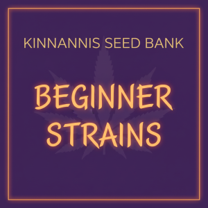 Beginner Strains Beginner Strains
