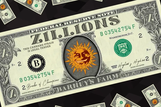 Zillions Feminized Seeds