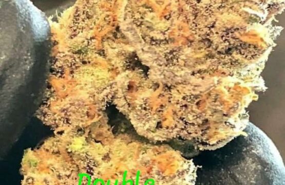 Double Kushberry Feminized Seeds
