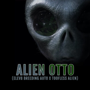 Alien Otto