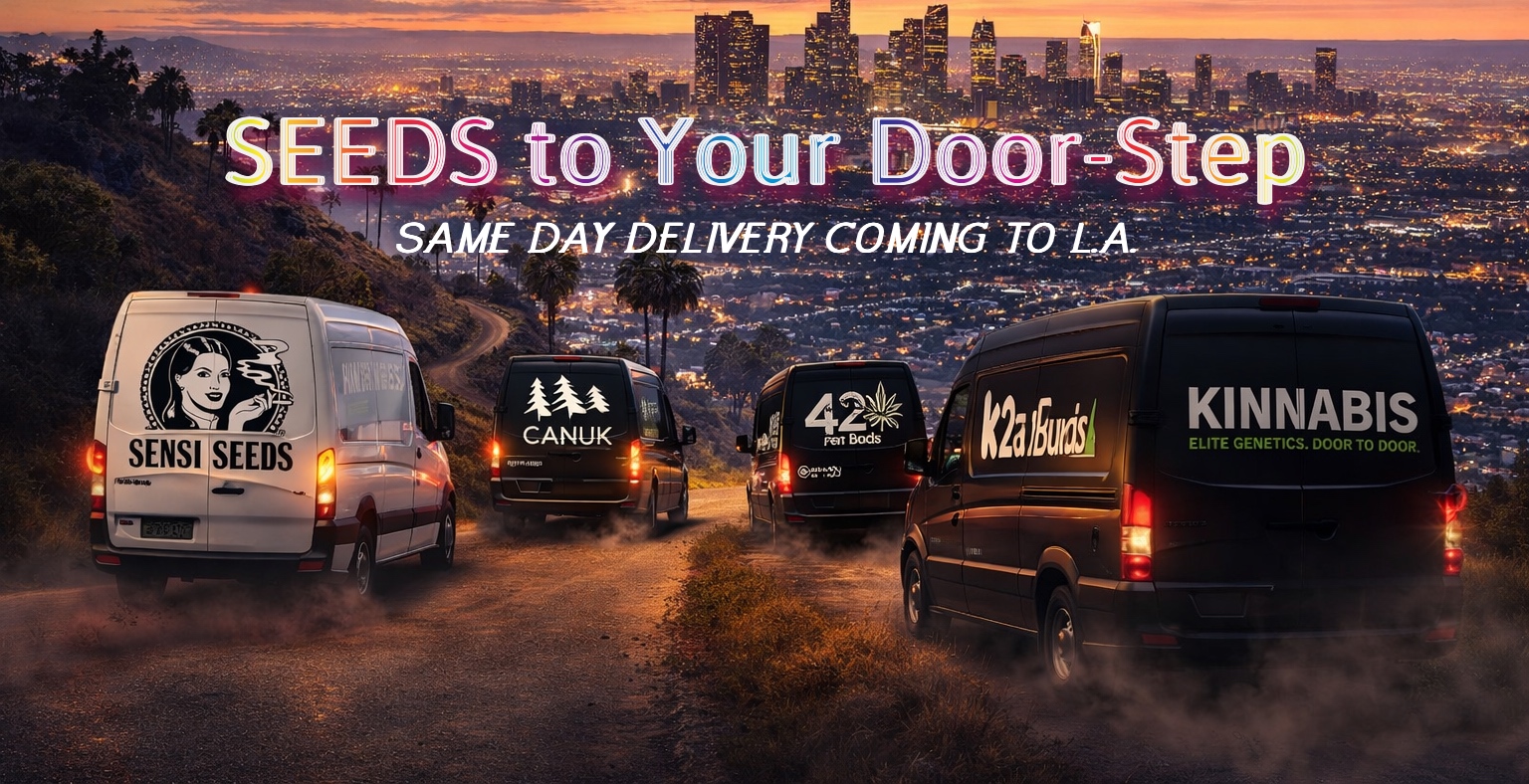 Seeds to your front door Kinnabis