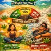 What Percentage of THC Is Right for You?