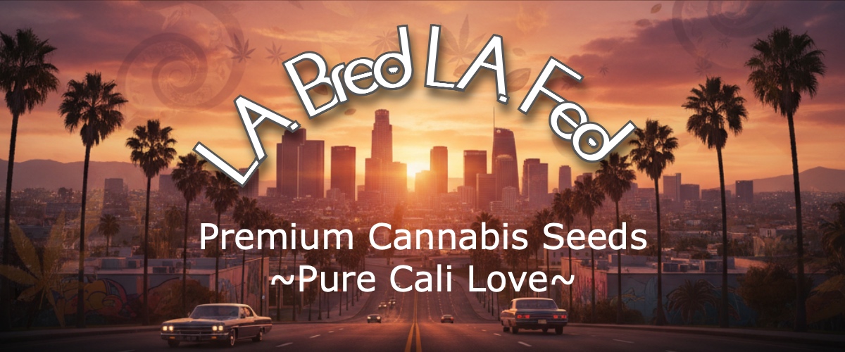 Los Angeles Top Banner