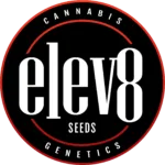 Elev8