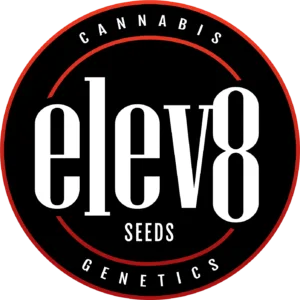 Elev8