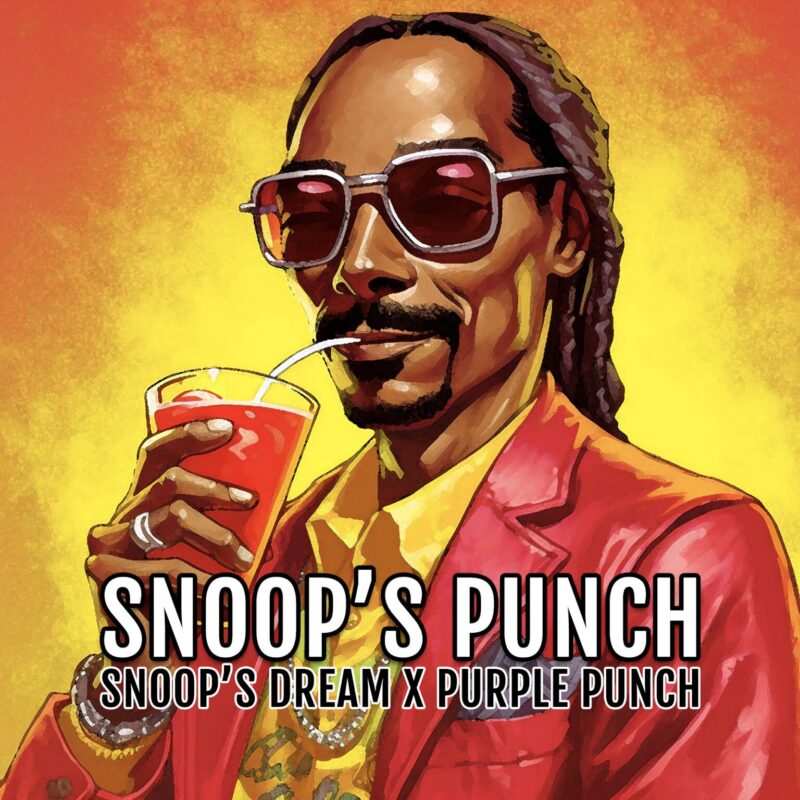 Snoop's Punch