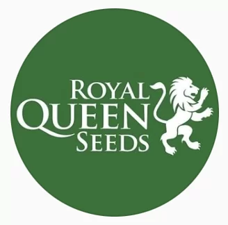 Royal Queen Seeds