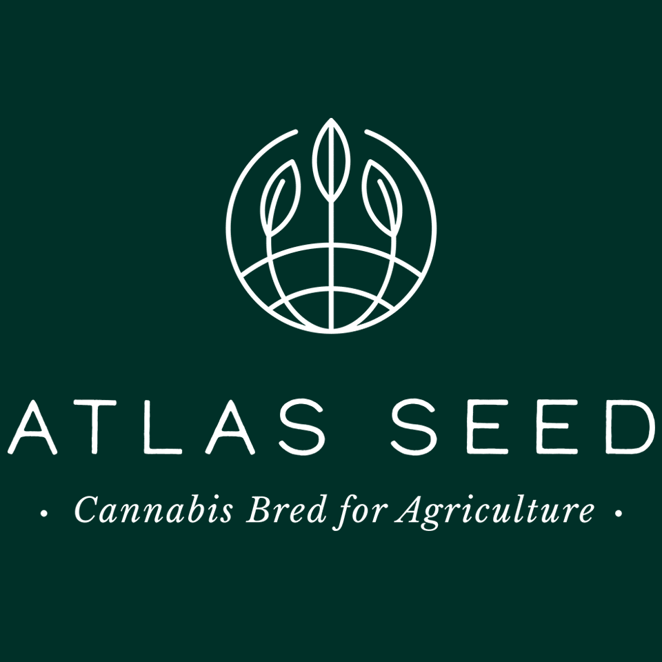 Atlas Seeds