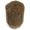 IHORT QPLUG Round 2 IHORT QPLUG Round - Seed Starters - Kinnabis Seeds Superstore